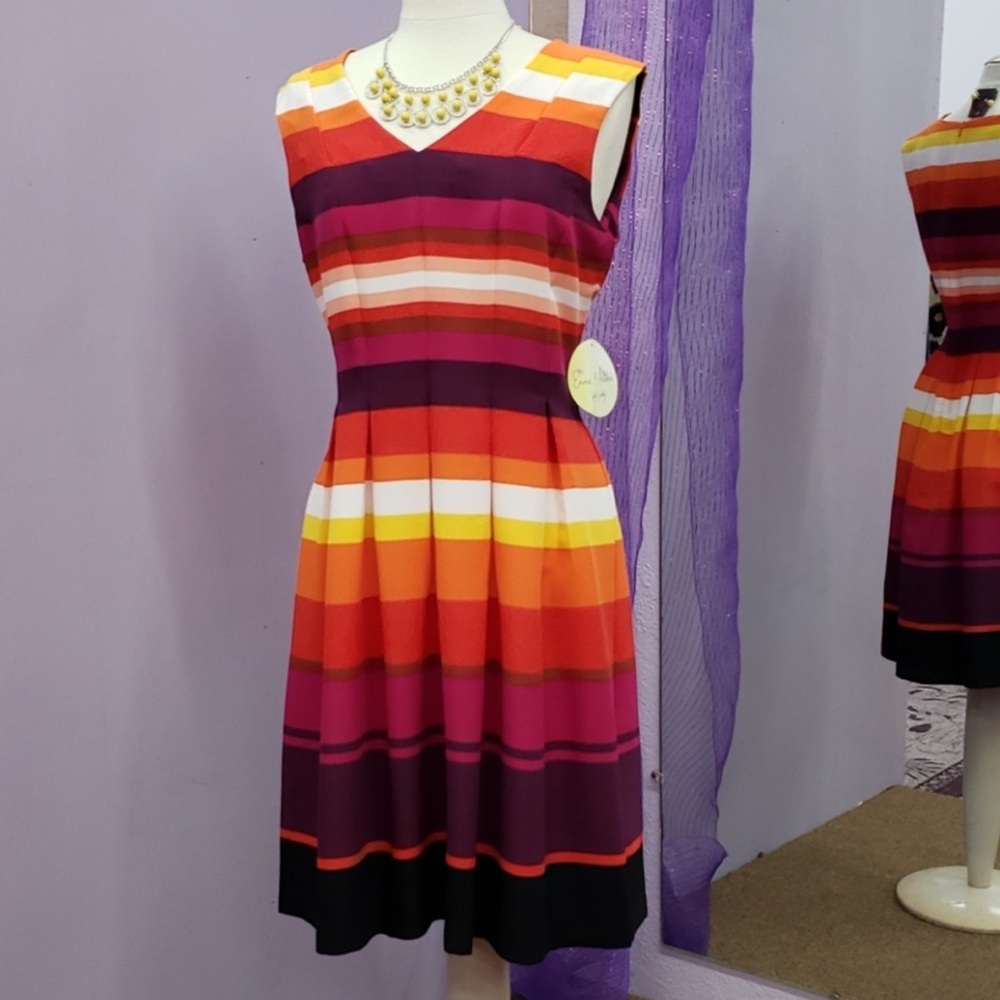 Emma & Michele Sleeveless V Neck Color Block Fit and Flare Dress